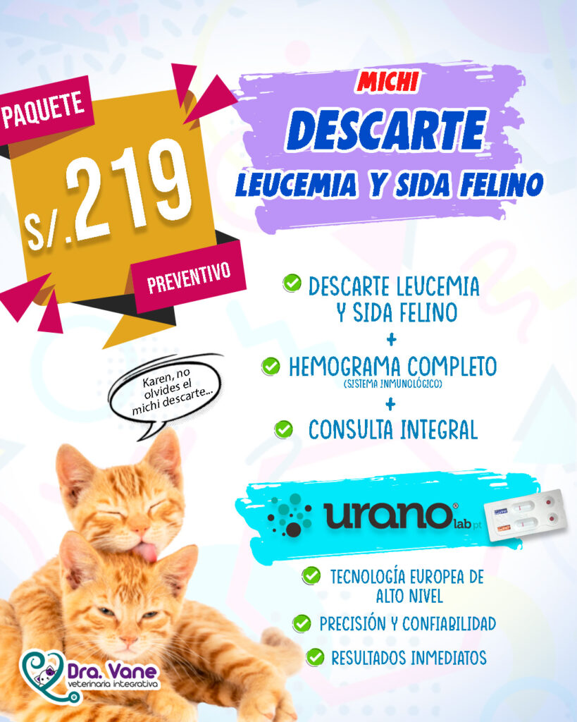 Michi-descarte-sida-leucemia-felino-819x1024