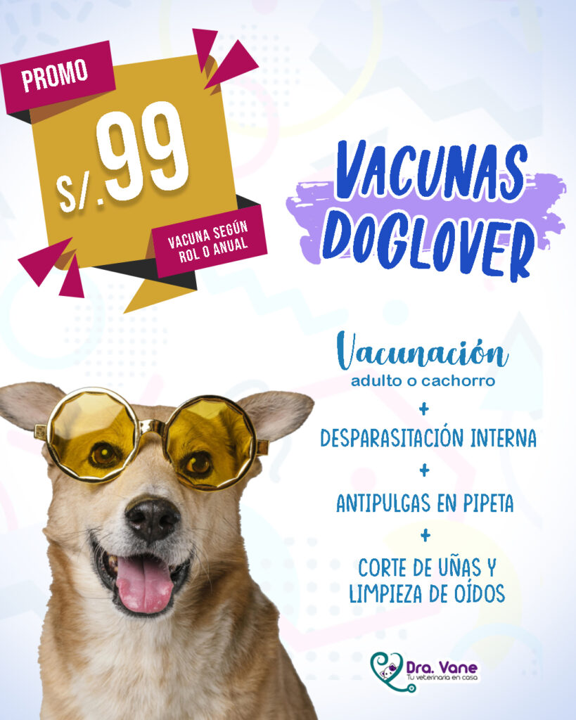 Vacunas-Dog-Lover-vertical--819x1024 (1)