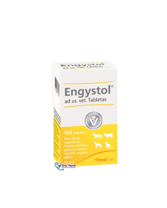 ENGYSTOL CAJA X 100 TAB