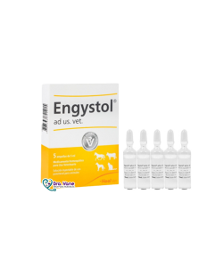 ENGYSTOL AD X 1 AMPOLLA